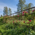 Metalinė atrama vijokliams. Metalo konstrukcijos Trakuose